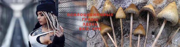 хмурый Михайлов