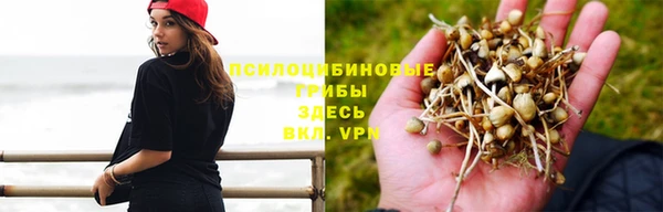 марихуана Баксан