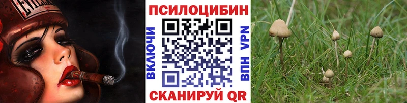 дарнет шоп  Билибино  Галлюциногенные грибы GOLDEN TEACHER 